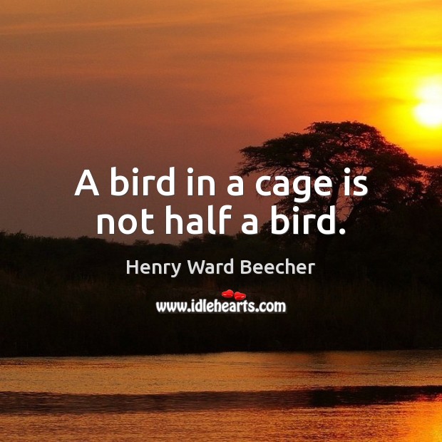 A bird in a cage is not half a bird. Image