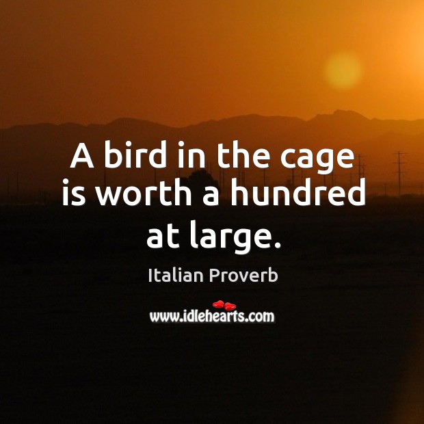 A bird in the cage is worth a hundred at large. Image
