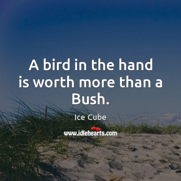 A bird in the hand is worth more than a Bush. Ice Cube Picture Quote