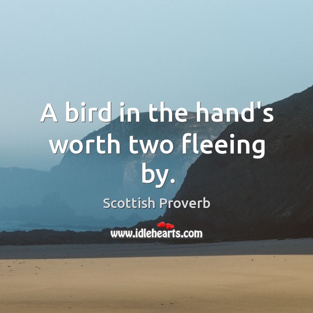 A bird in the hand’s worth two fleeing by. Scottish Proverbs Image