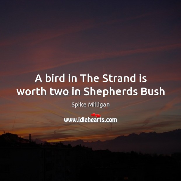 A bird in The Strand is worth two in Shepherds Bush Image