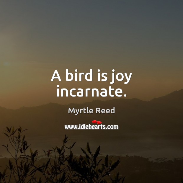 A bird is joy incarnate. Myrtle Reed Picture Quote