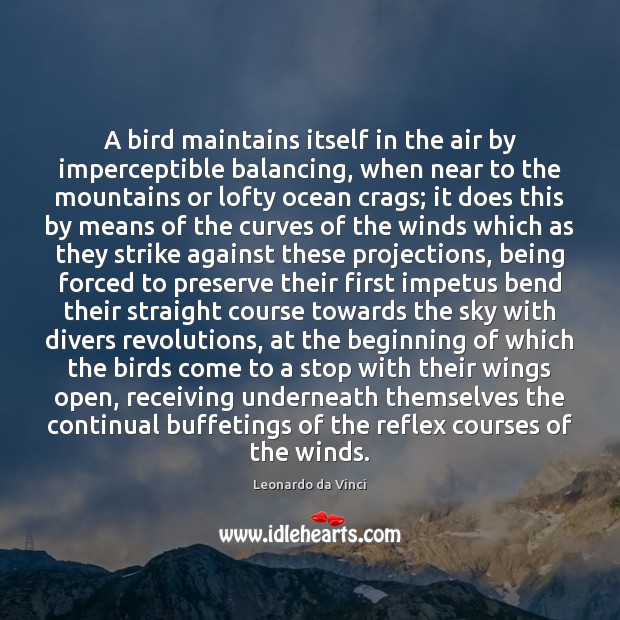 A bird maintains itself in the air by imperceptible balancing, when near Leonardo da Vinci Picture Quote