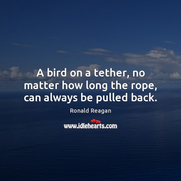 A bird on a tether, no matter how long the rope, can always be pulled back. Ronald Reagan Picture Quote