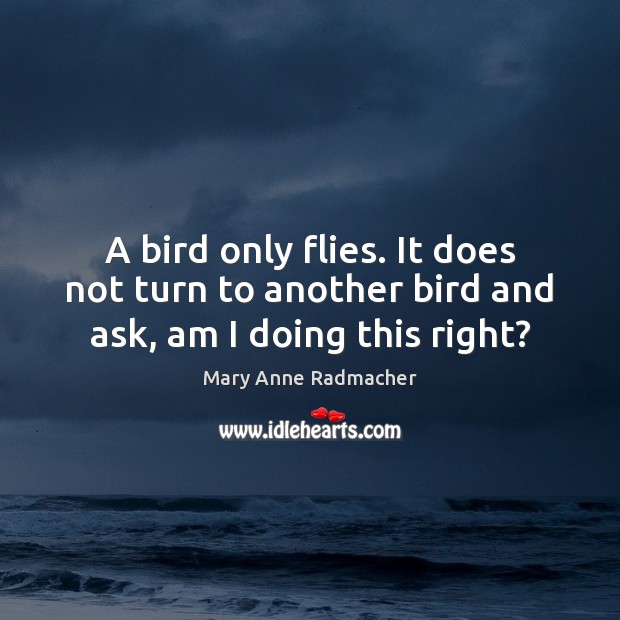 A bird only flies. It does not turn to another bird and ask, am I doing this right? Mary Anne Radmacher Picture Quote