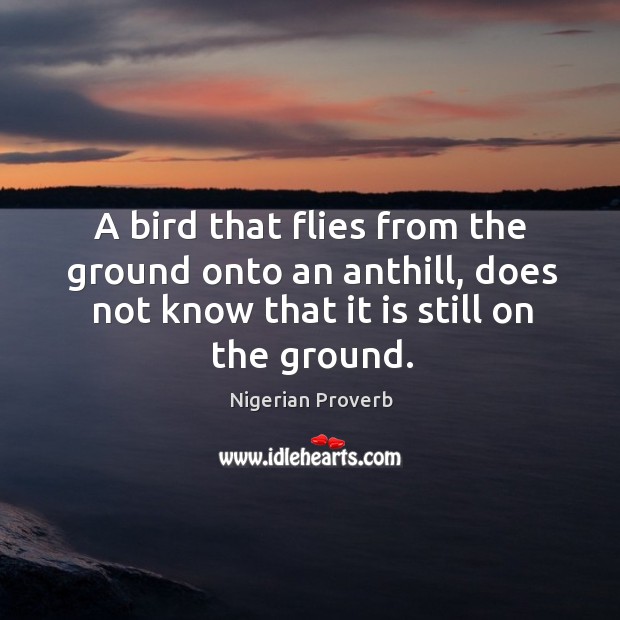 A bird that flies from the ground onto an anthill Nigerian Proverbs Image