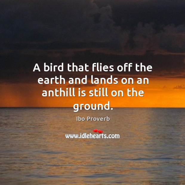 A bird that flies off the earth and lands on an anthill is still on the ground. Ibo Proverbs Image