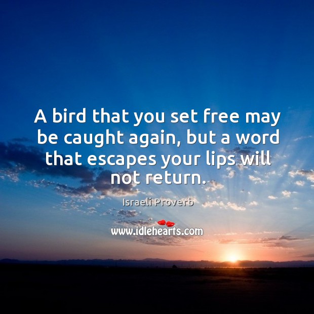 A bird that you set free may be caught again Israeli Proverbs Image