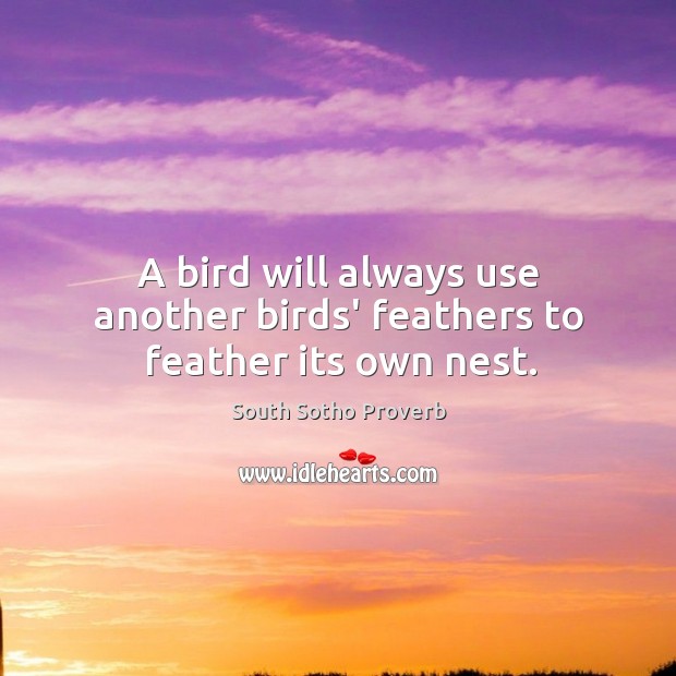 A bird will always use another birds’ feathers to feather its own nest. South Sotho Proverbs Image