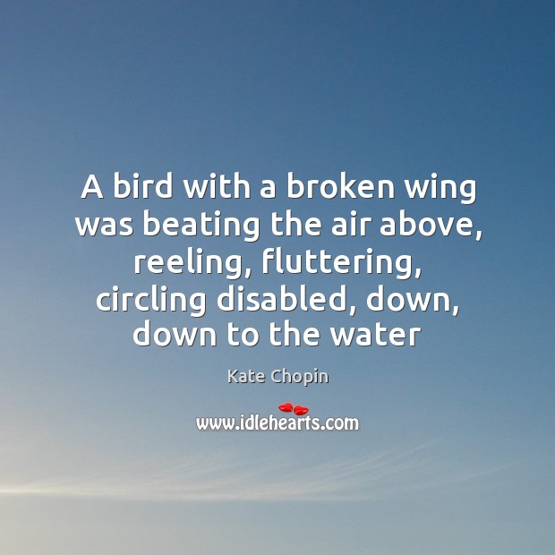 A bird with a broken wing was beating the air above, reeling, Kate Chopin Picture Quote