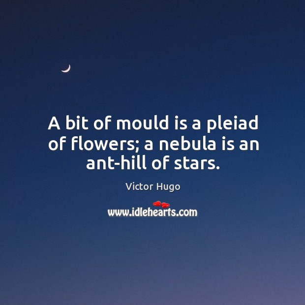 A bit of mould is a pleiad of flowers; a nebula is an ant-hill of stars. Victor Hugo Picture Quote