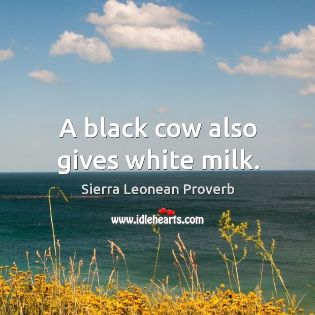 A black cow also gives white milk. Sierra Leonean Proverbs Image