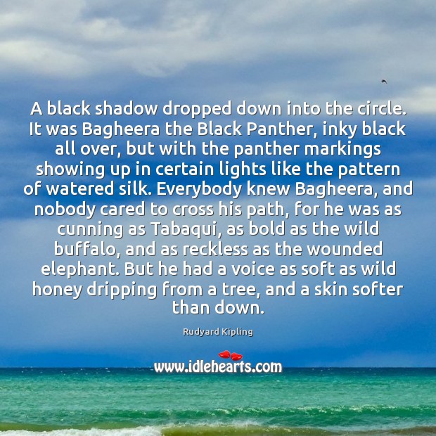 A black shadow dropped down into the circle. It was Bagheera the Image