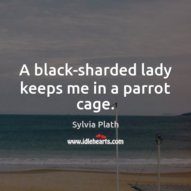 A black-sharded lady keeps me in a parrot cage. Image
