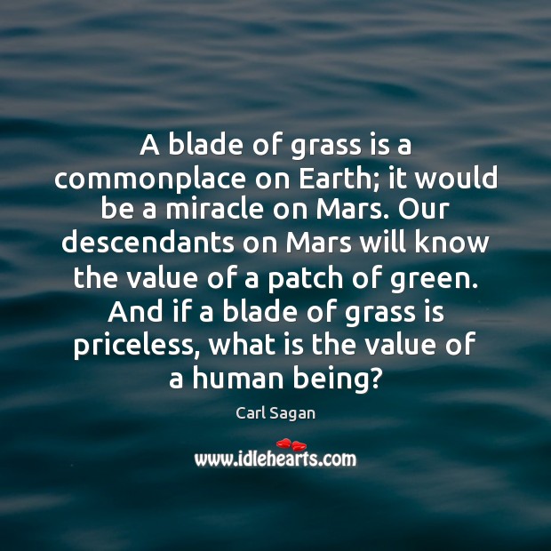 A blade of grass is a commonplace on Earth; it would be Carl Sagan Picture Quote