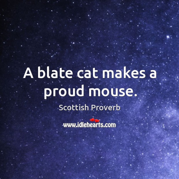 A blate cat makes a proud mouse. Scottish Proverbs Image