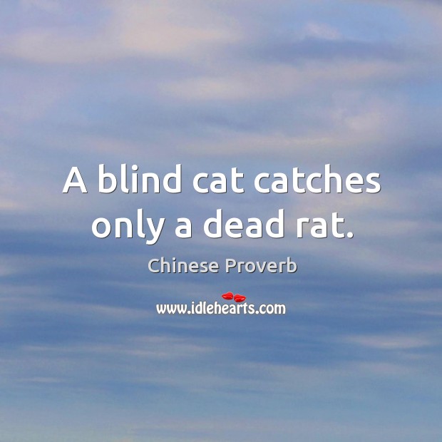 A blind cat catches only a dead rat. Image