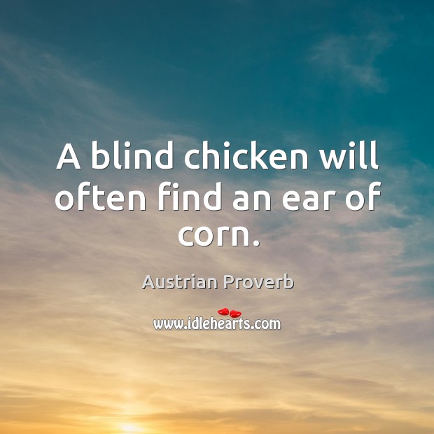 A blind chicken will often find an ear of corn. Image