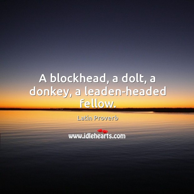 A blockhead, a dolt, a donkey, a leaden-headed fellow. Image