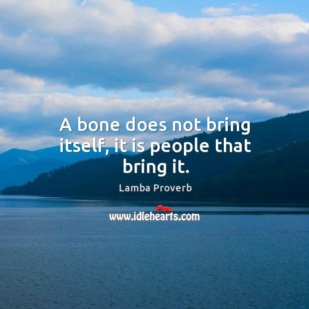 A bone does not bring itself, it is people that bring it. Lamba Proverbs Image