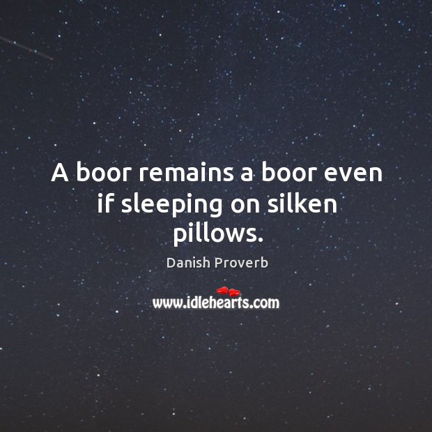 A boor remains a boor even if sleeping on silken pillows. Image
