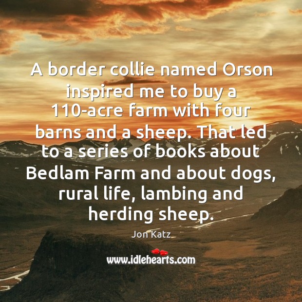 A border collie named Orson inspired me to buy a 110-acre farm Jon Katz Picture Quote