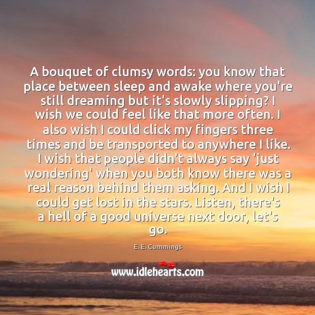 A bouquet of clumsy words: you know that place between sleep and Dreaming Quotes Image