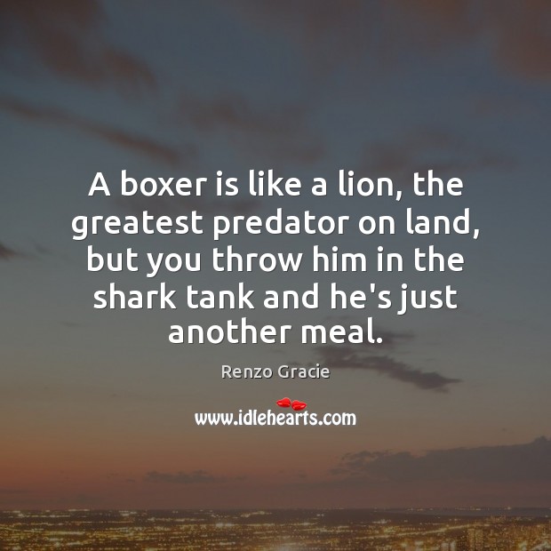 A boxer is like a lion, the greatest predator on land, but Renzo Gracie Picture Quote