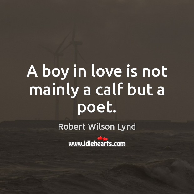 A boy in love is not mainly a calf but a poet. Robert Wilson Lynd Picture Quote