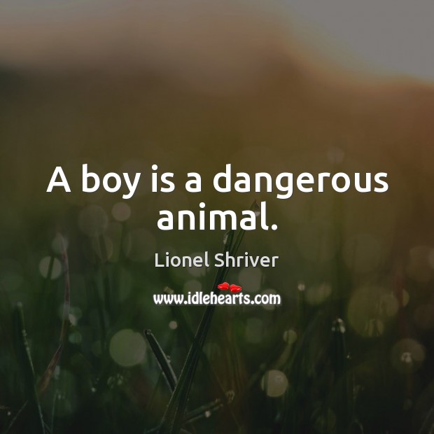 A boy is a dangerous animal. Lionel Shriver Picture Quote