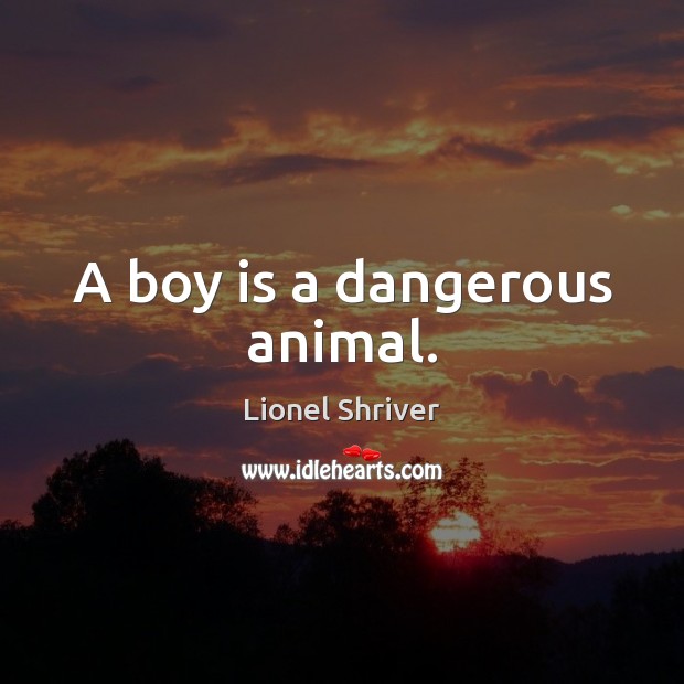 A boy is a dangerous animal. Lionel Shriver Picture Quote