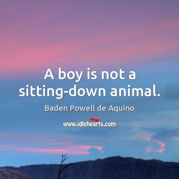 A boy is not a sitting-down animal. Baden Powell de Aquino Picture Quote