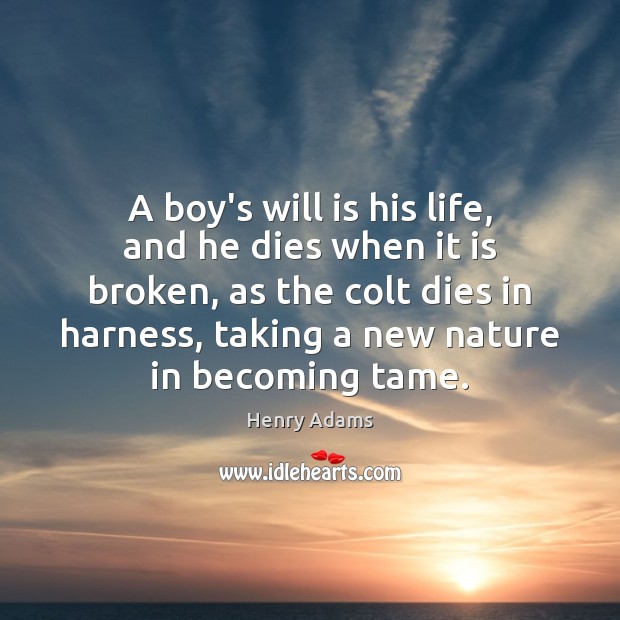 A boy’s will is his life, and he dies when it is Henry Adams Picture Quote