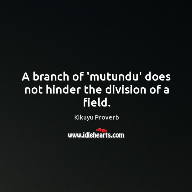 A branch of ‘mutundu’ does not hinder the division of a field. Kikuyu Proverbs Image