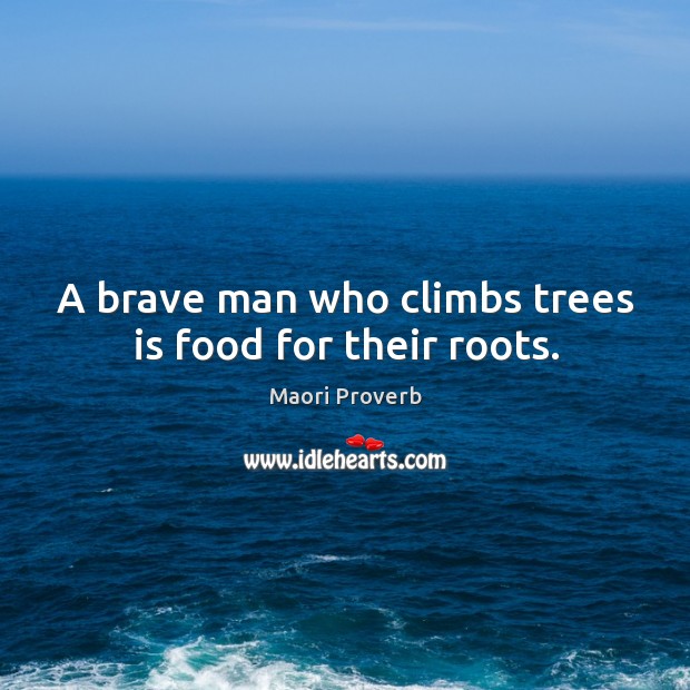 A brave man who climbs trees is food for their roots. Maori Proverbs Image