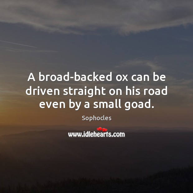 A broad-backed ox can be driven straight on his road even by a small goad. Sophocles Picture Quote