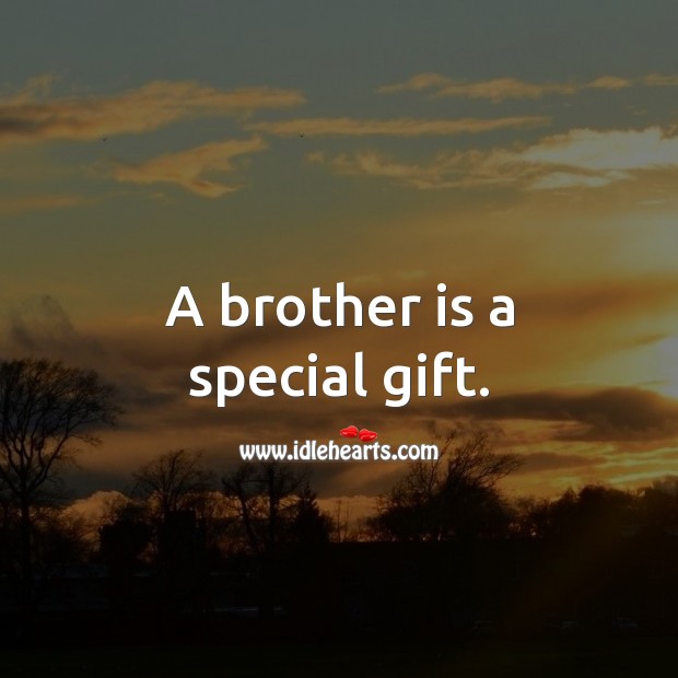 A brother is a special gift. Brother Quotes Image