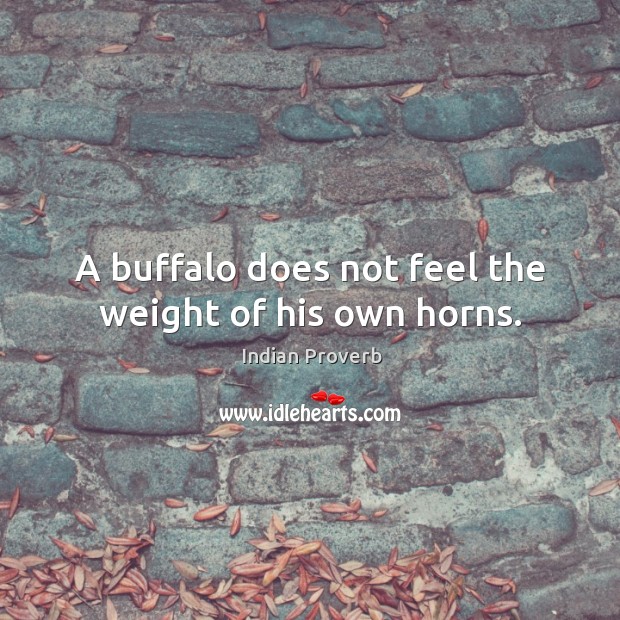 A buffalo does not feel the weight of his own horns. Indian Proverbs Image