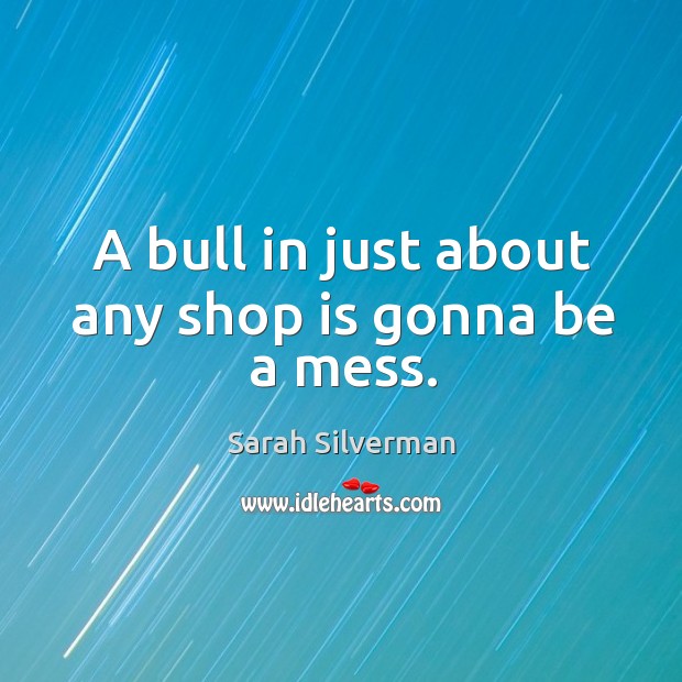 A bull in just about any shop is gonna be a mess. Sarah Silverman Picture Quote