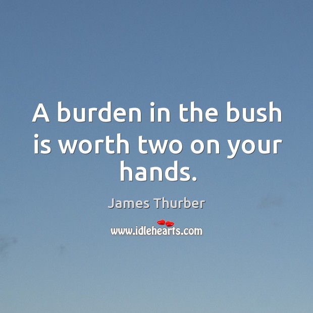 A burden in the bush is worth two on your hands. James Thurber Picture Quote