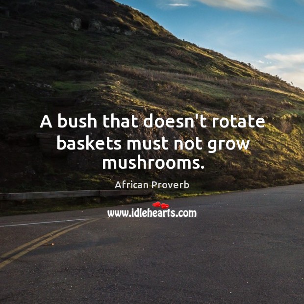 A bush that doesn’t rotate baskets must not grow mushrooms. African Proverbs Image