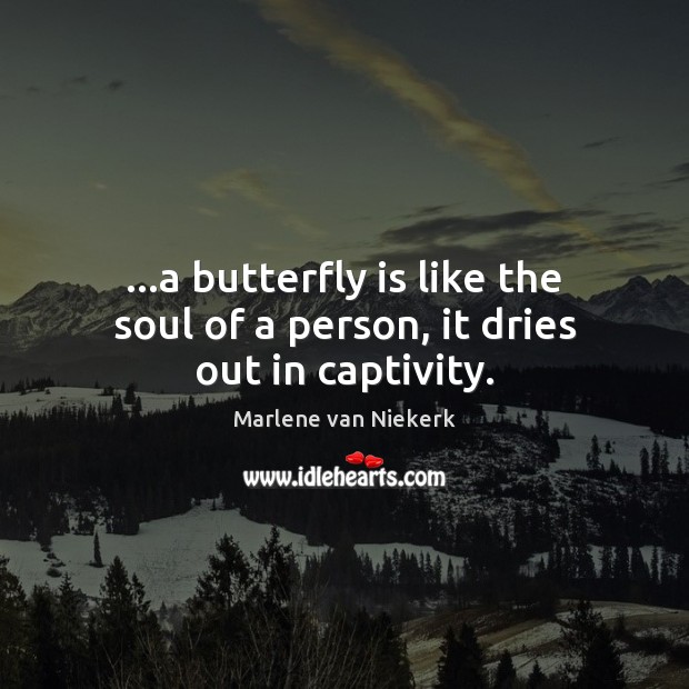 …a butterfly is like the soul of a person, it dries out in captivity. Marlene van Niekerk Picture Quote