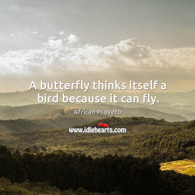 A butterfly thinks itself a bird because it can fly. African Proverbs Image