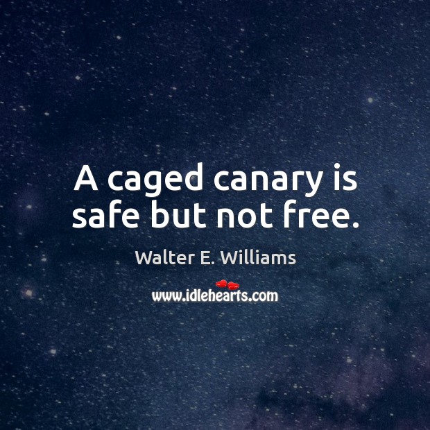 A caged canary is safe but not free. Walter E. Williams Picture Quote