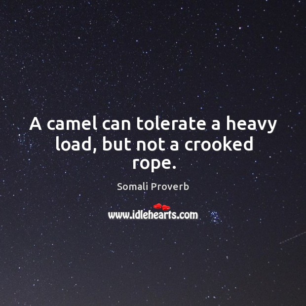 A camel can tolerate a heavy load, but not a crooked rope. Somali Proverbs Image