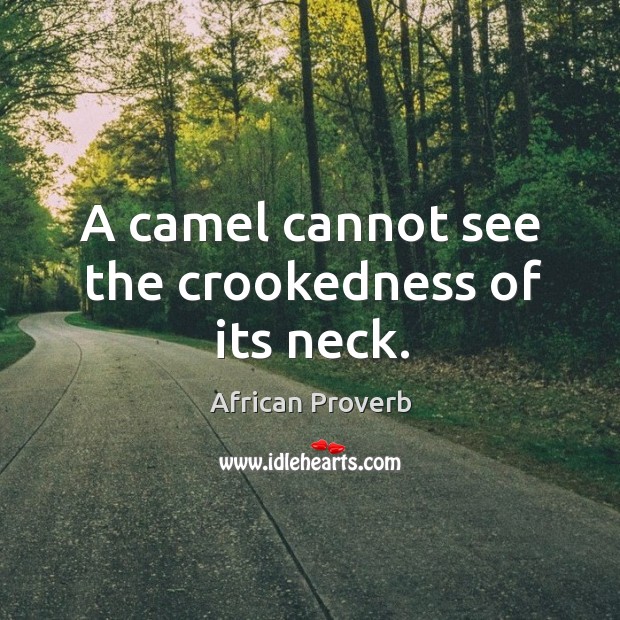 A camel cannot see the crookedness of its neck. Image