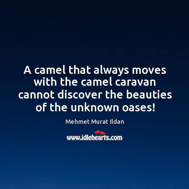A camel that always moves with the camel caravan cannot discover the Image
