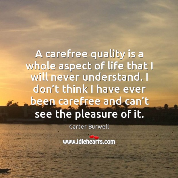 A carefree quality is a whole aspect of life that I will never understand. Carter Burwell Picture Quote