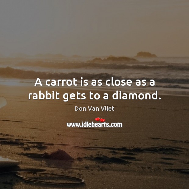 A carrot is as close as a rabbit gets to a diamond. Don Van Vliet Picture Quote