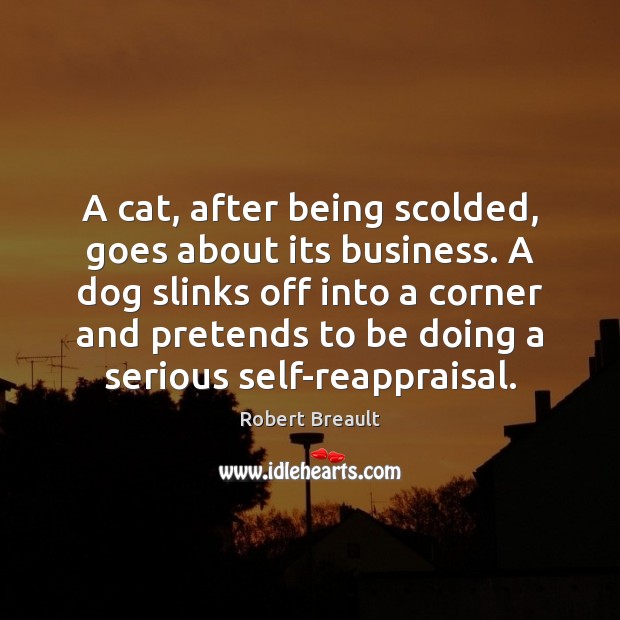 A cat, after being scolded, goes about its business. A dog slinks Robert Breault Picture Quote